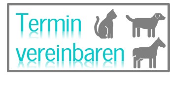 Termin vereinbaren Termin vereinbaren